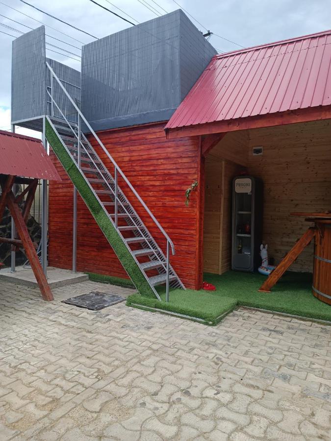 Pensiunea Schilacy Grosii Tiblesului Exterior foto